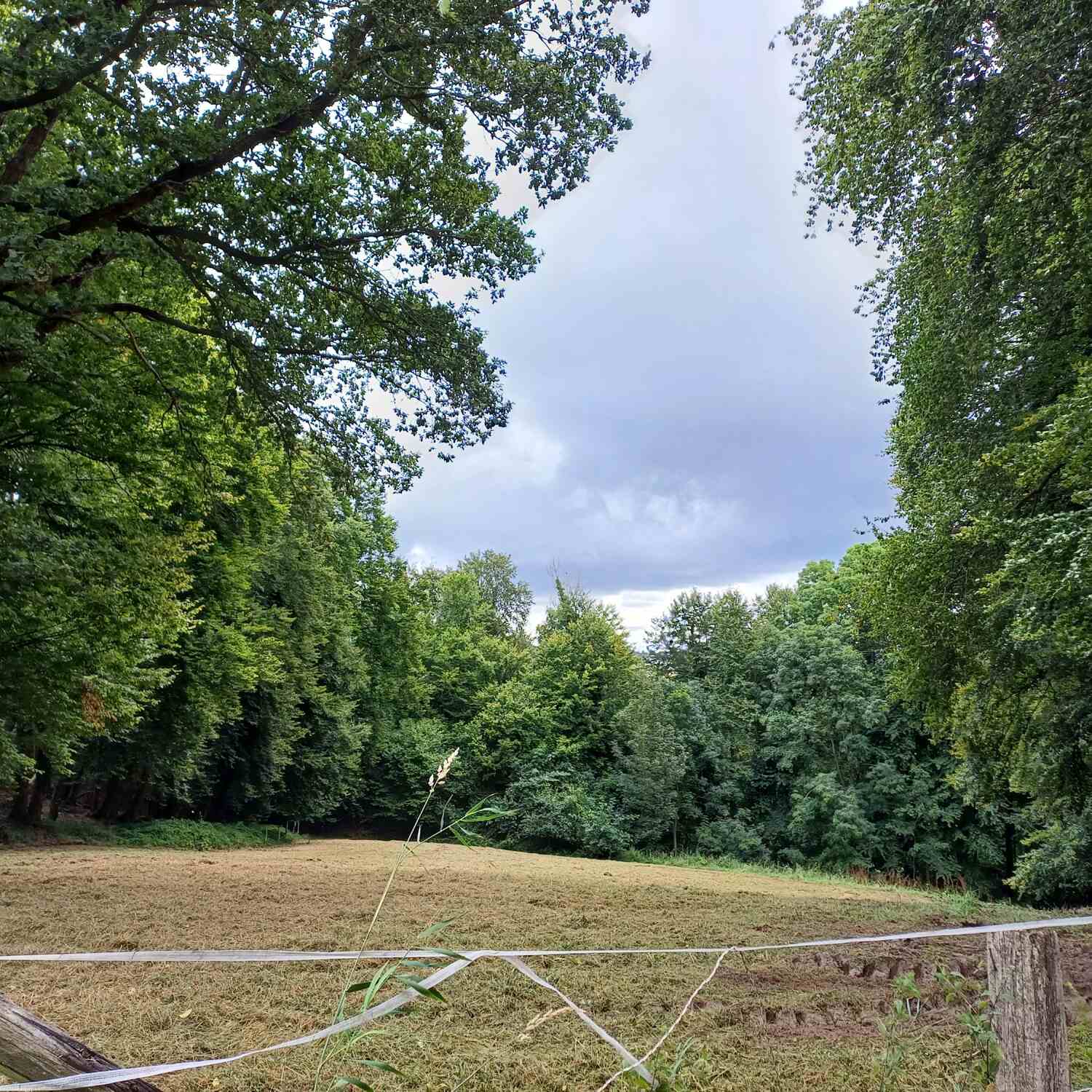 Kasbachtal - Regenrunde