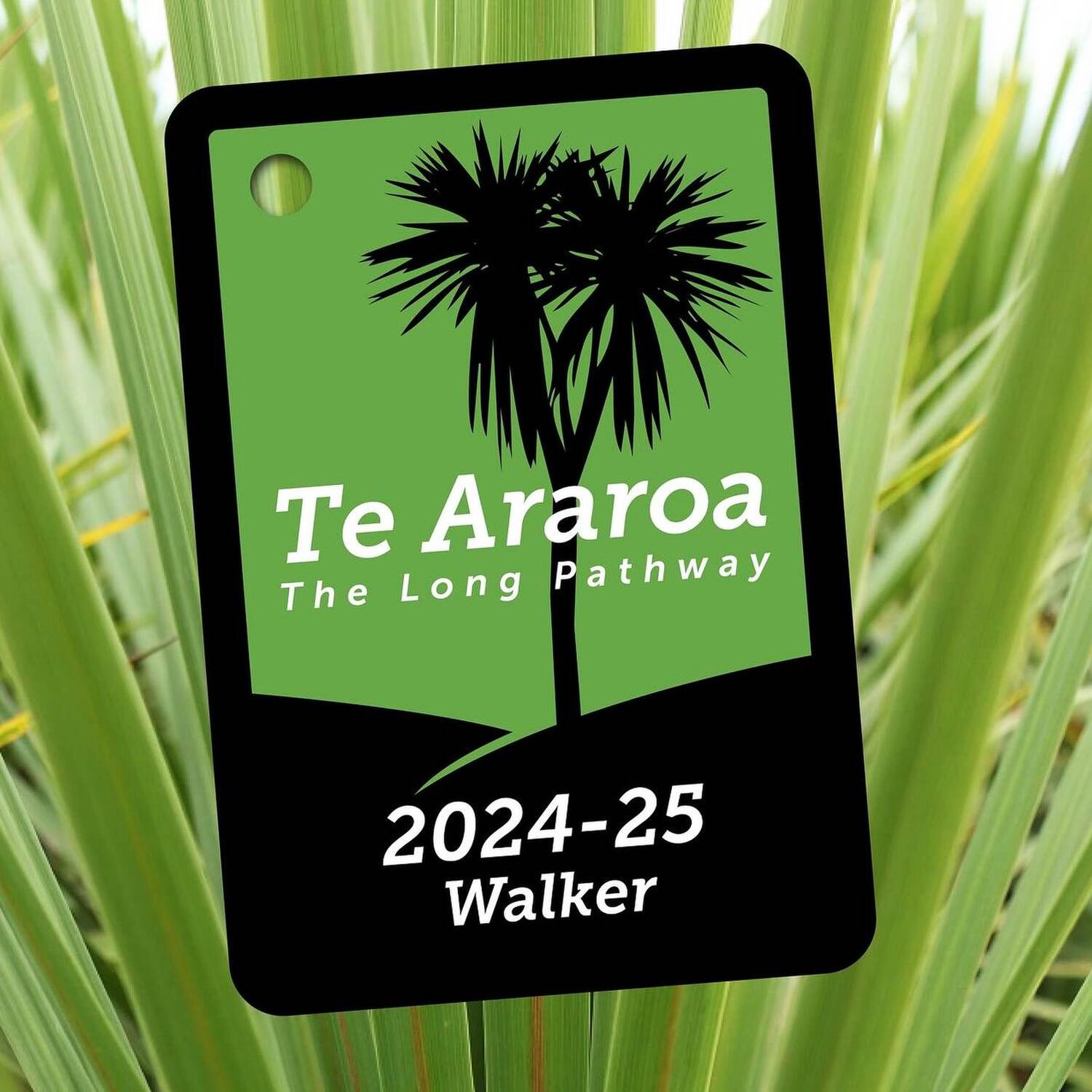 Te Araroa Trail - Nordinsel