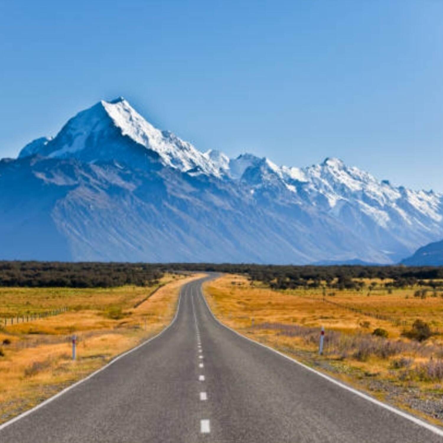 Ocean Roads - South Island