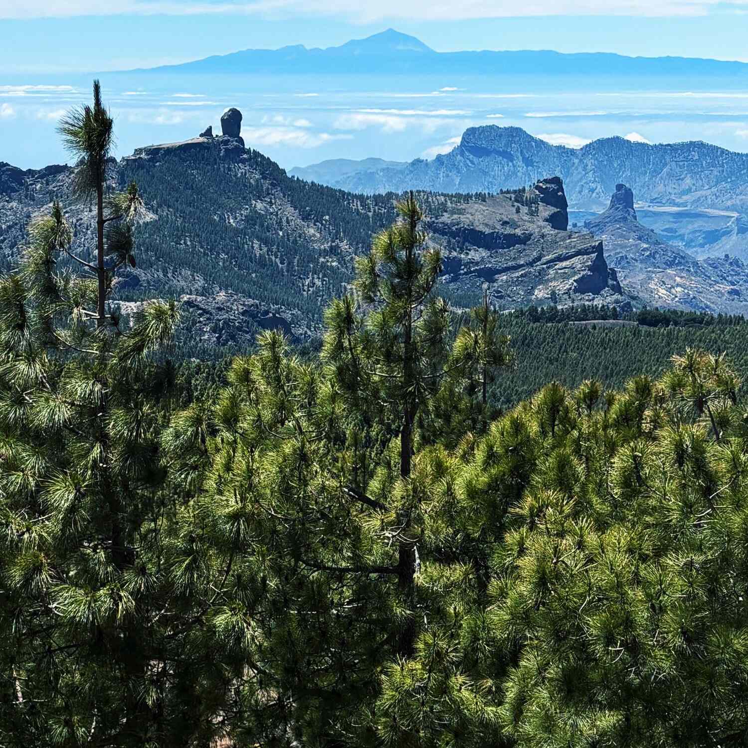 Gran Canaria & Madeira