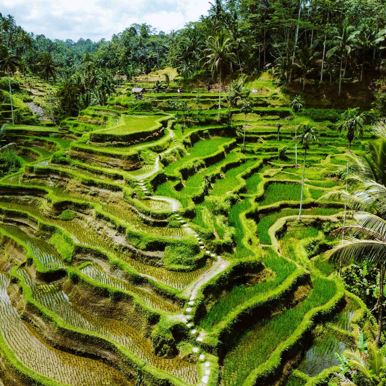 Indonesien 🧳🌋🏝️✈️