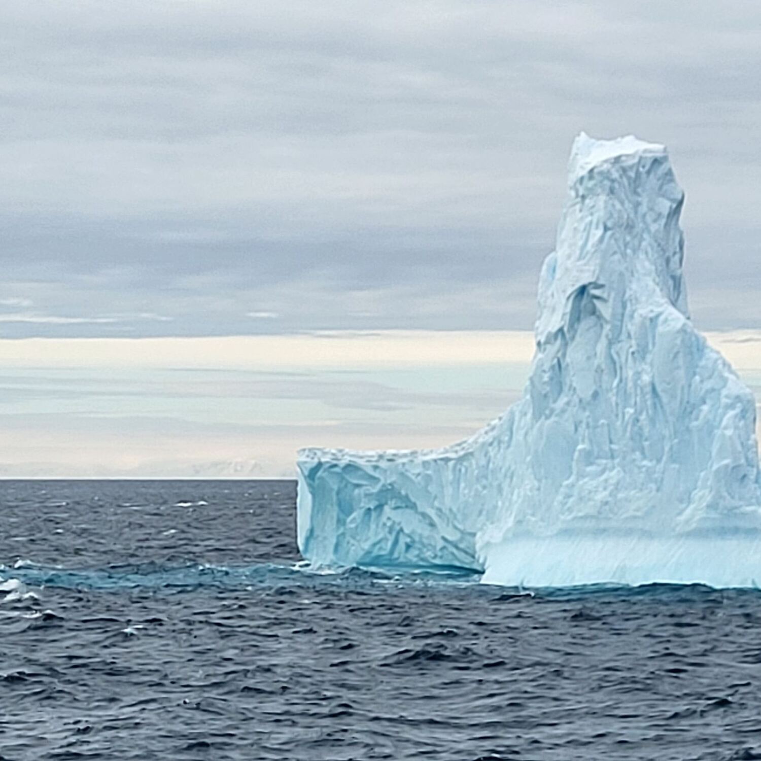 New Year's Expedition Cruise