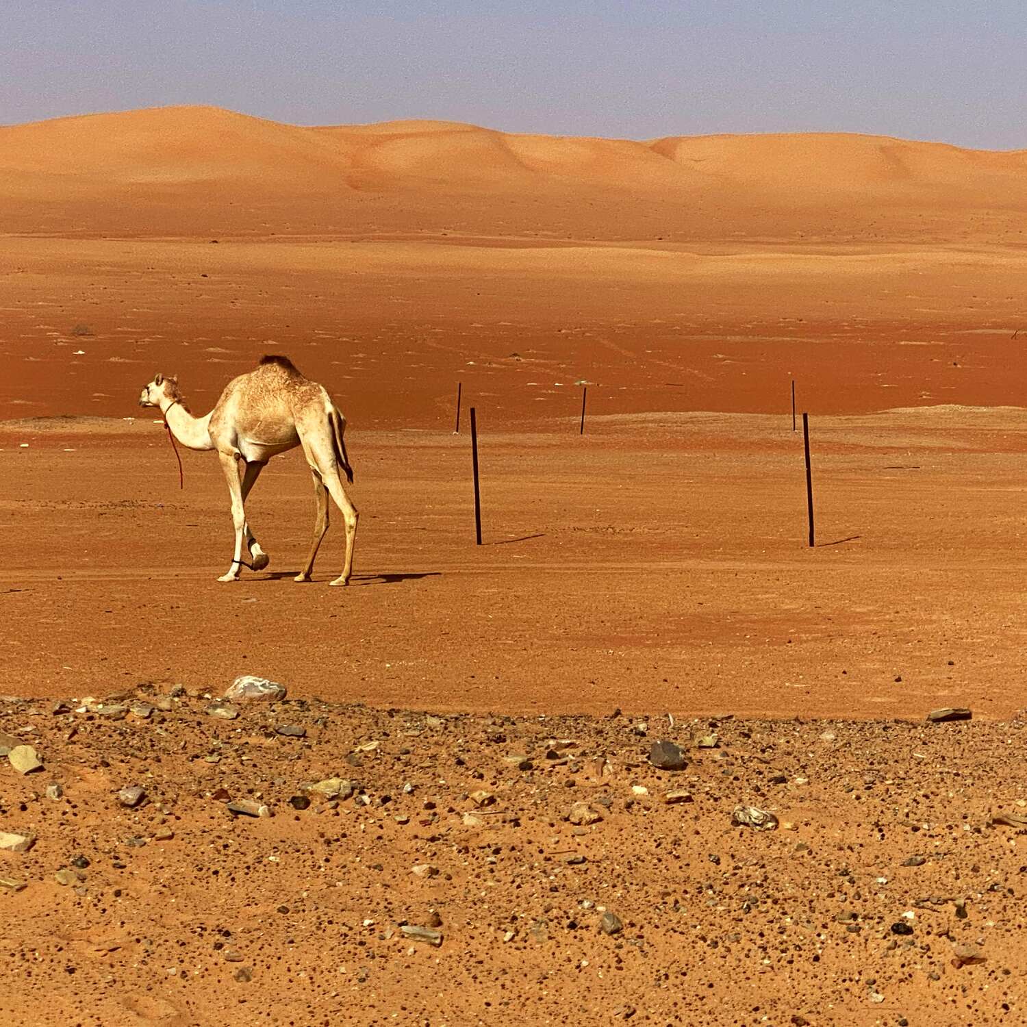 Oman