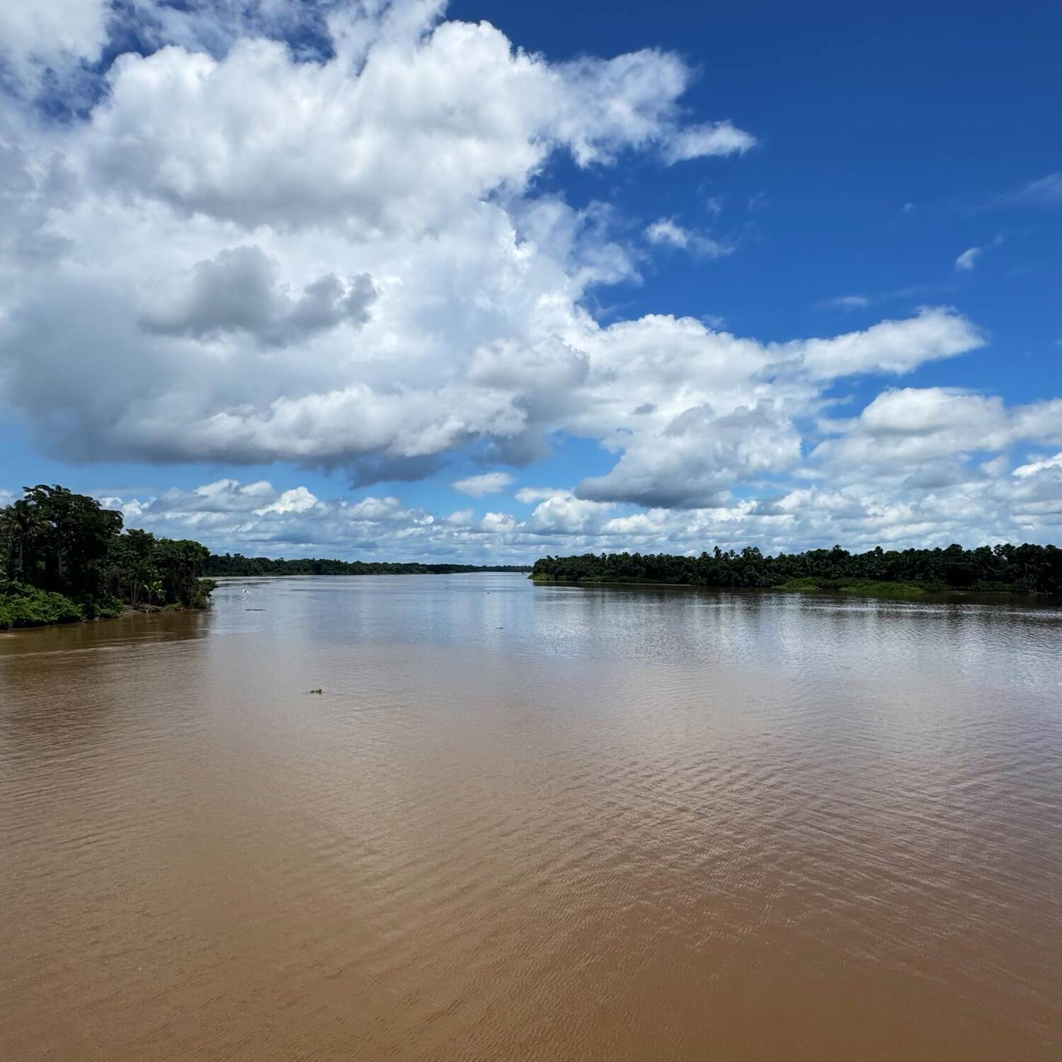 Amazonas 2025