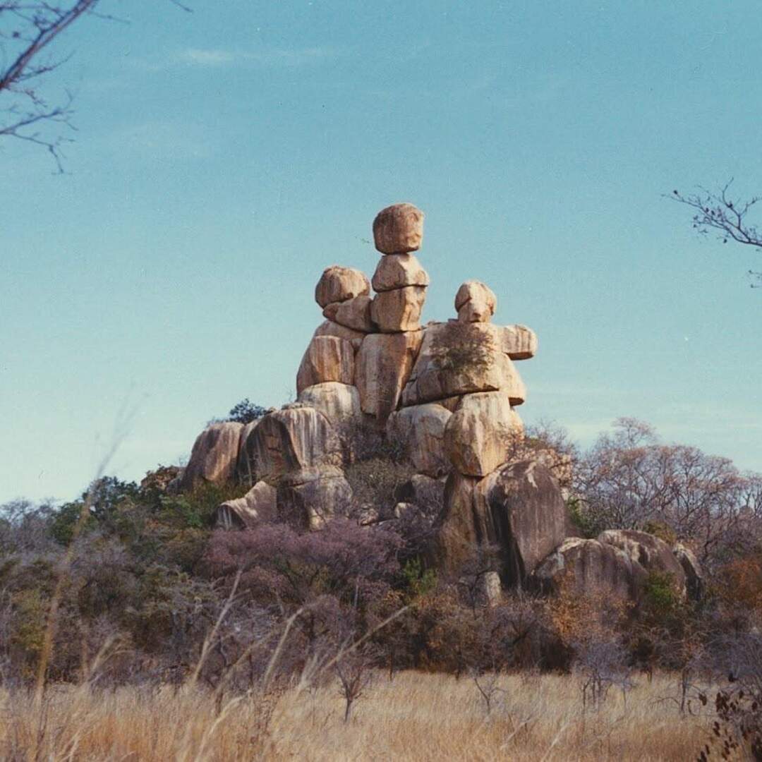 Into the outof Africa - 1996