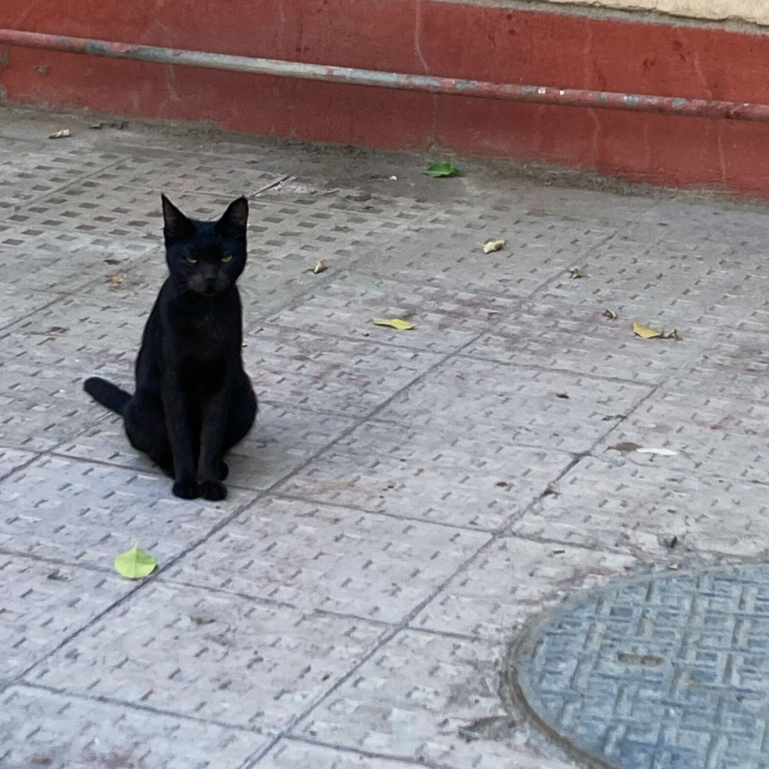 Egypt Revisited After 39 Years