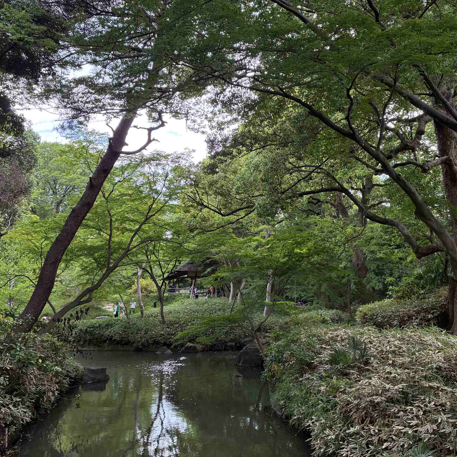 Japan 2026