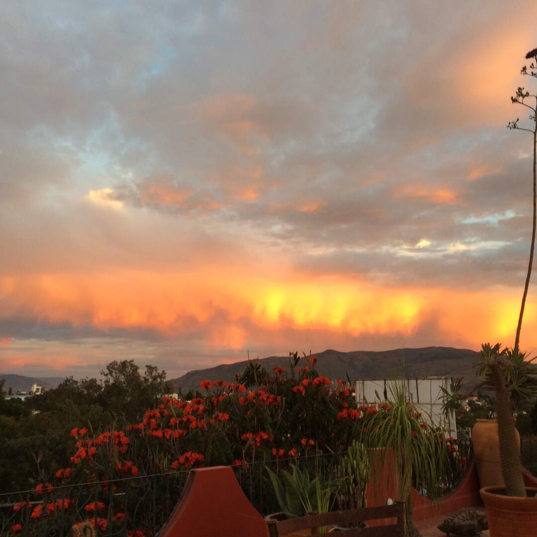 At Home in Oaxaca