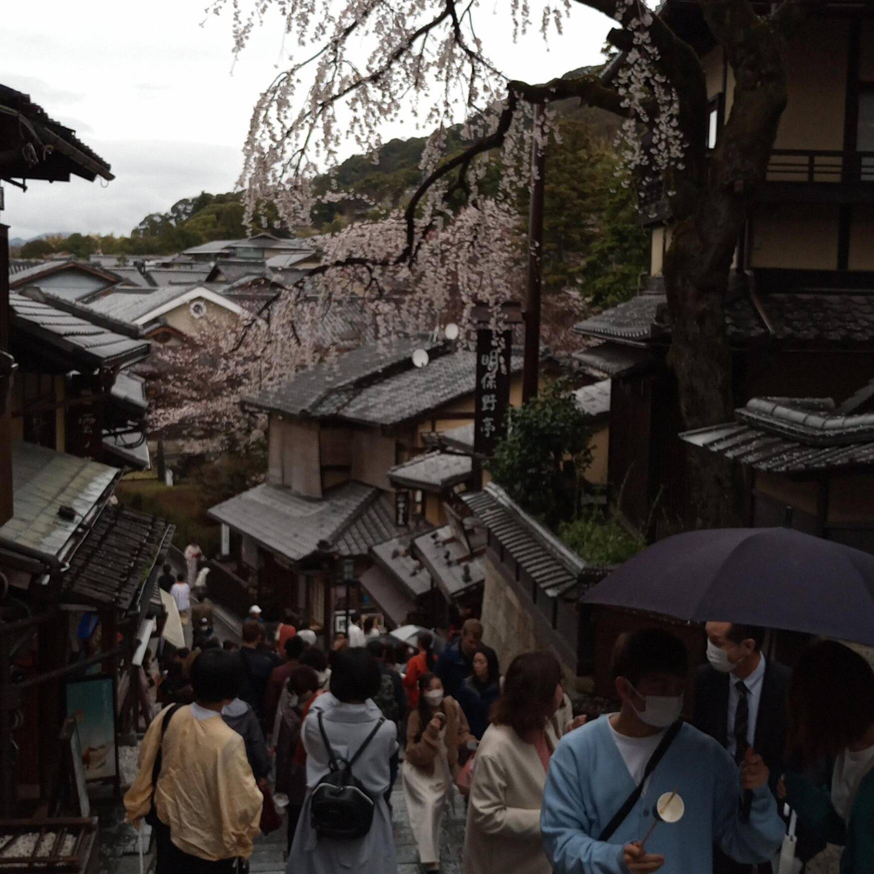 Hanami