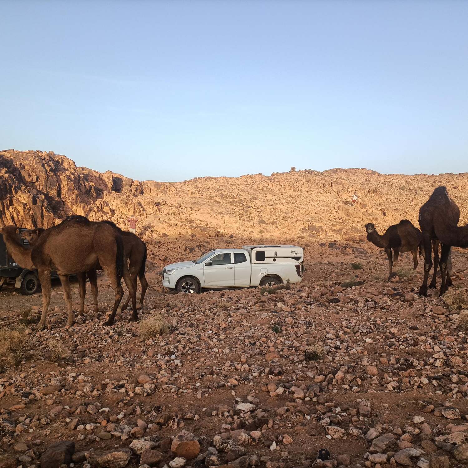 Maroc 2024