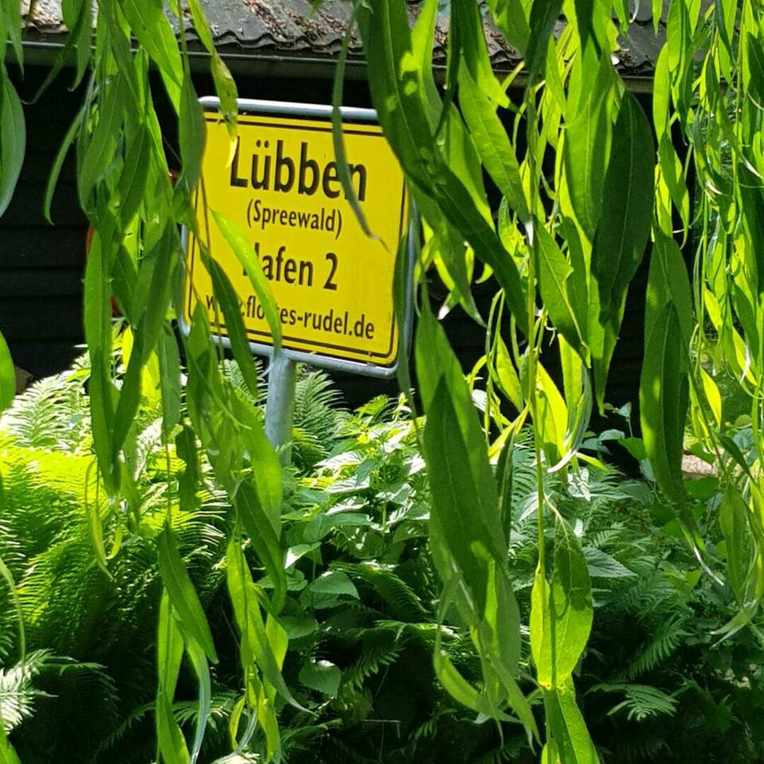 Spreewald Camping