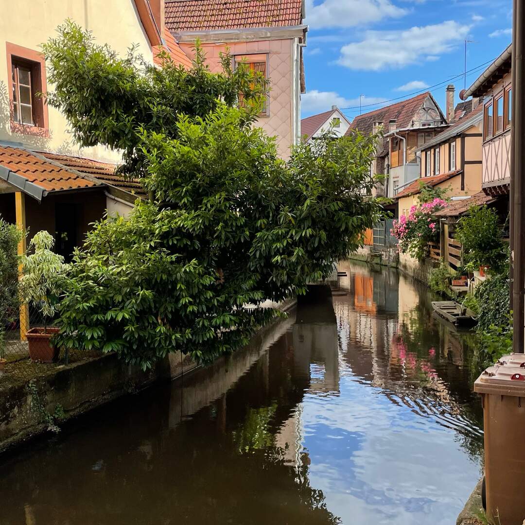 Elsass