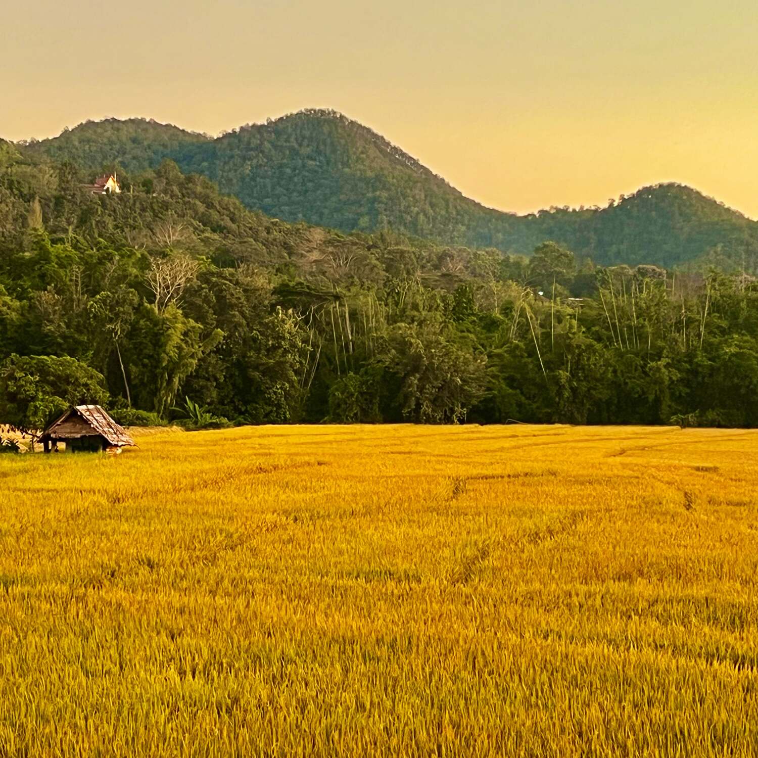 One Month in Thailand