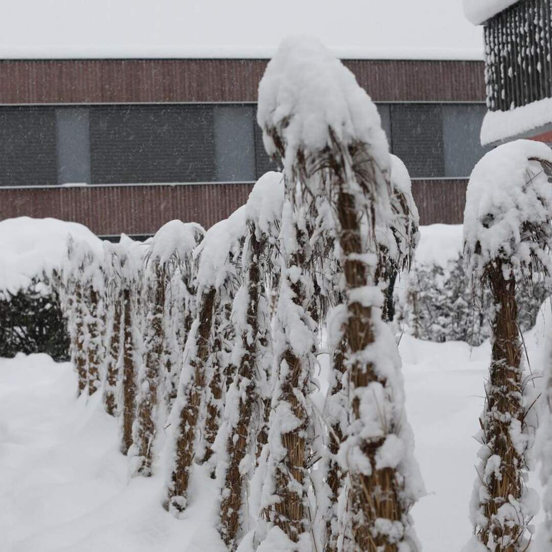 Winter 2020/21