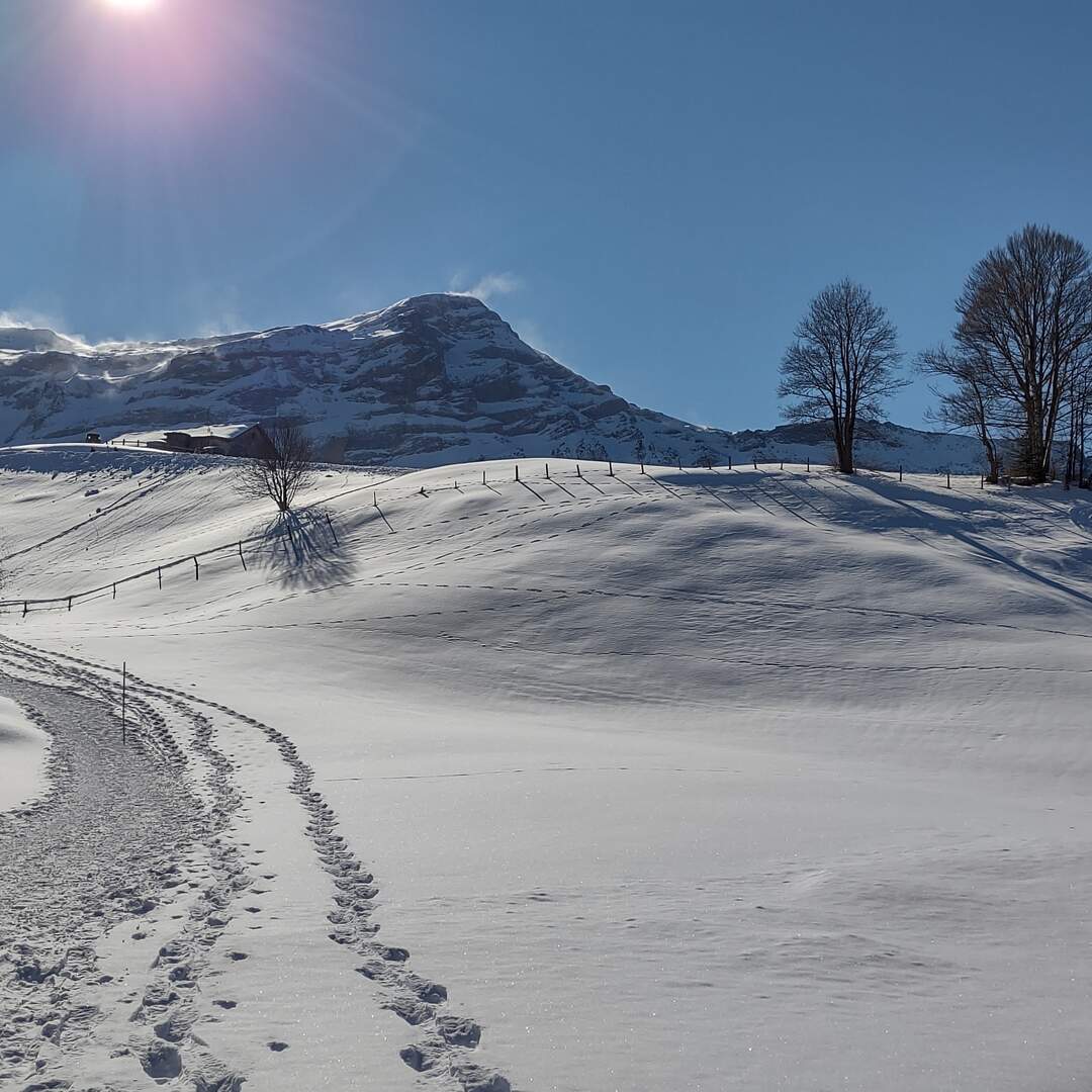 Winter 2021/22