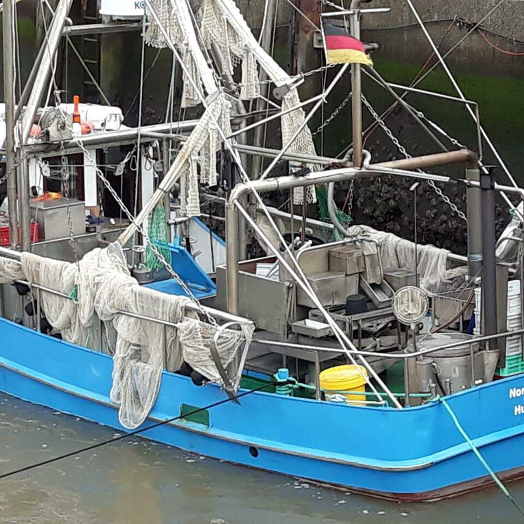Husum und Umgebung