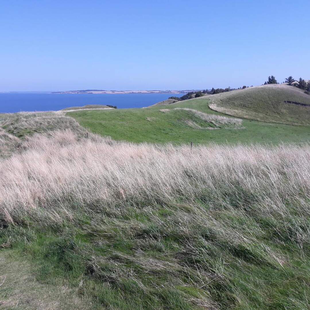 Dänemark in Coronazeiten