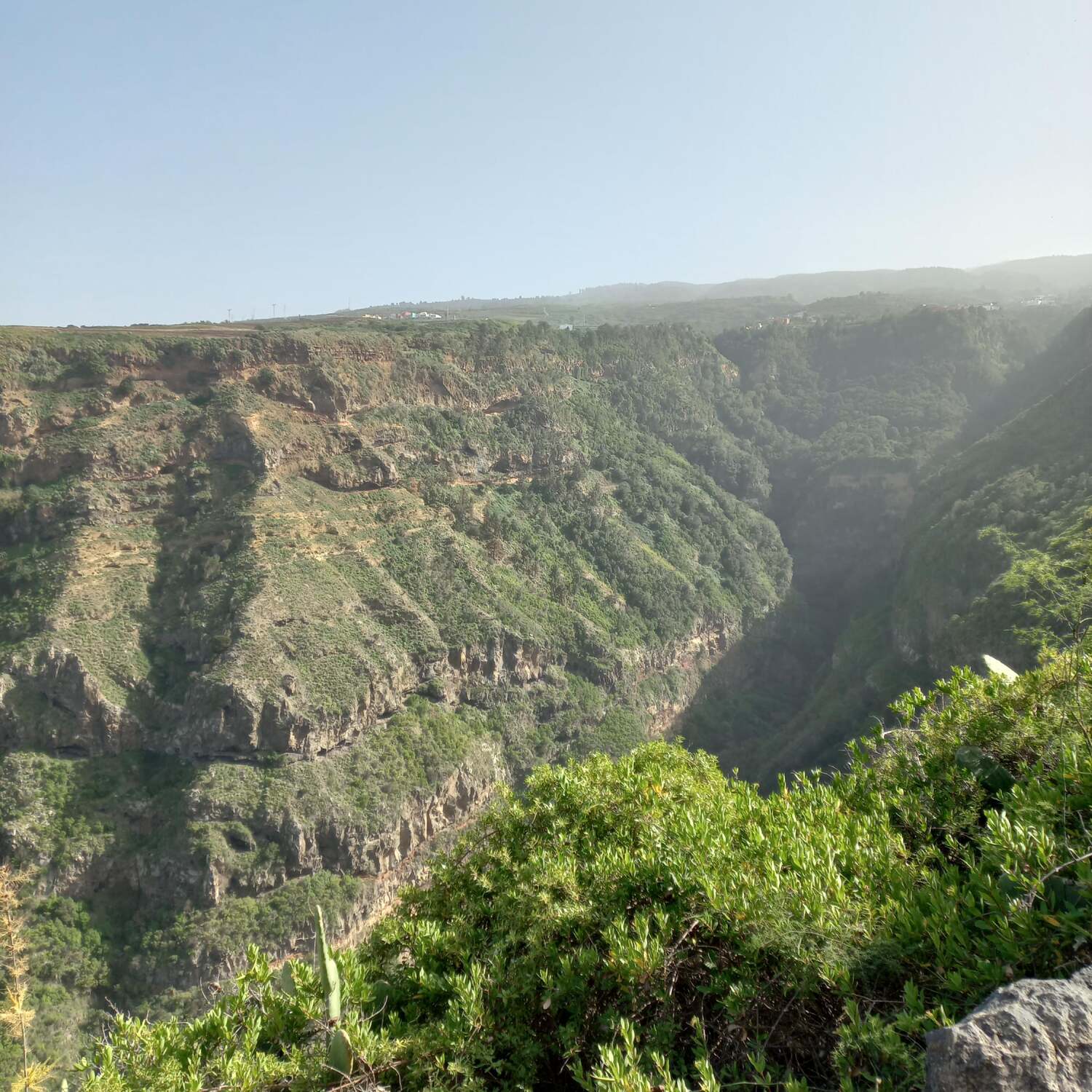 Teneriffa,Barranco de la Ruiz