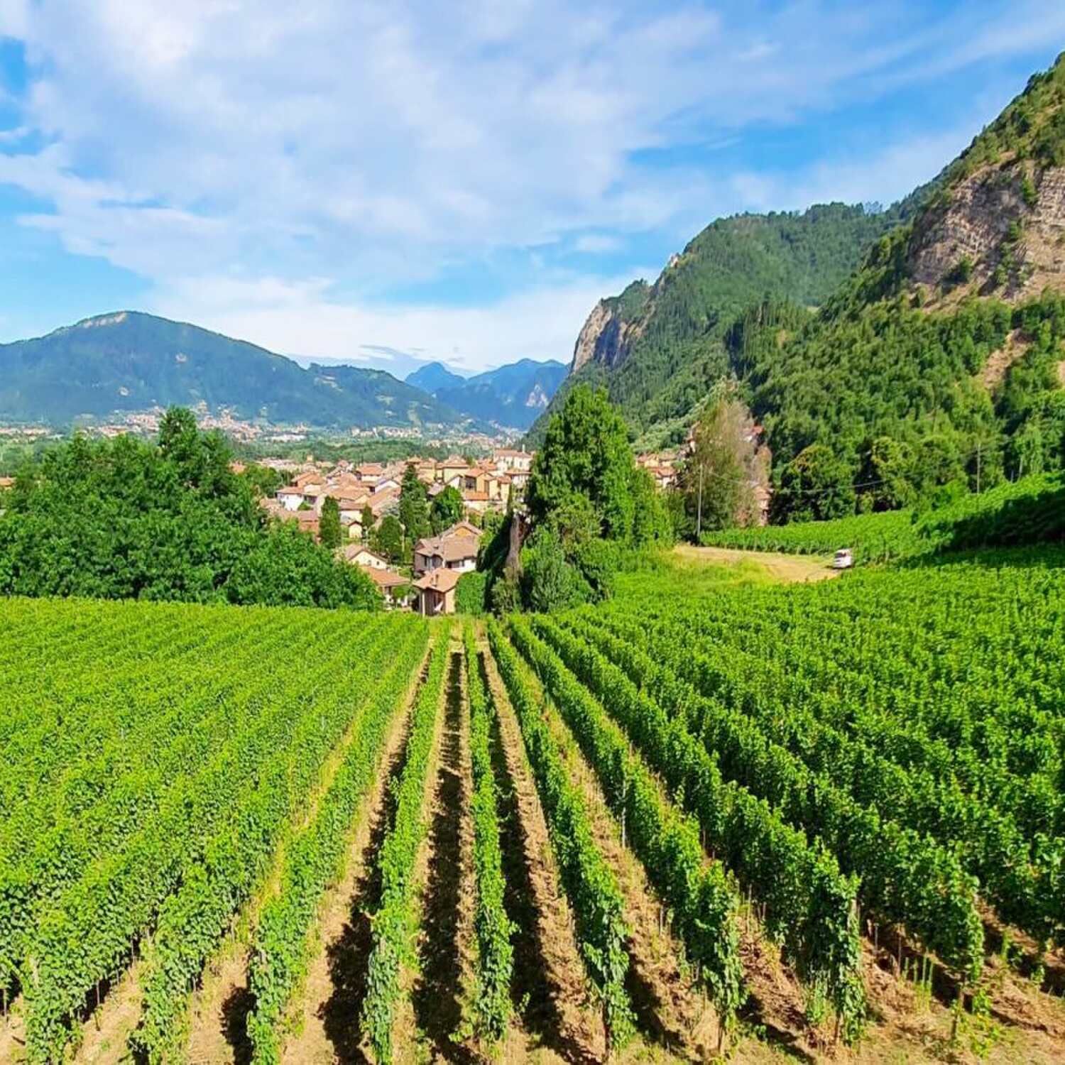 Festival Franciacorta 2024