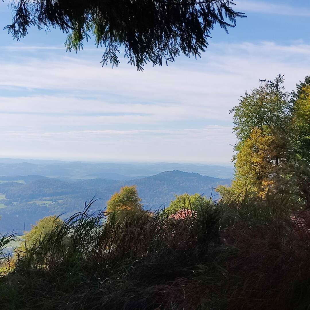 Bayerischer Wald