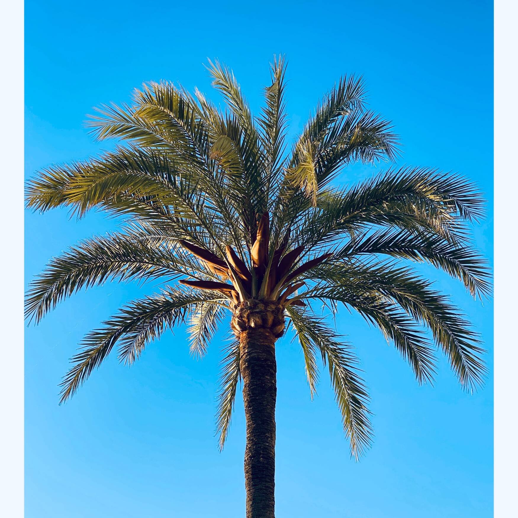 Mallorca