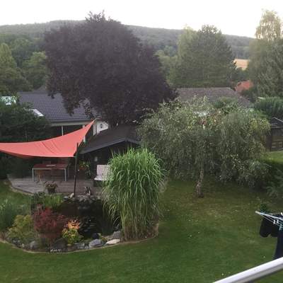 Nienstedt