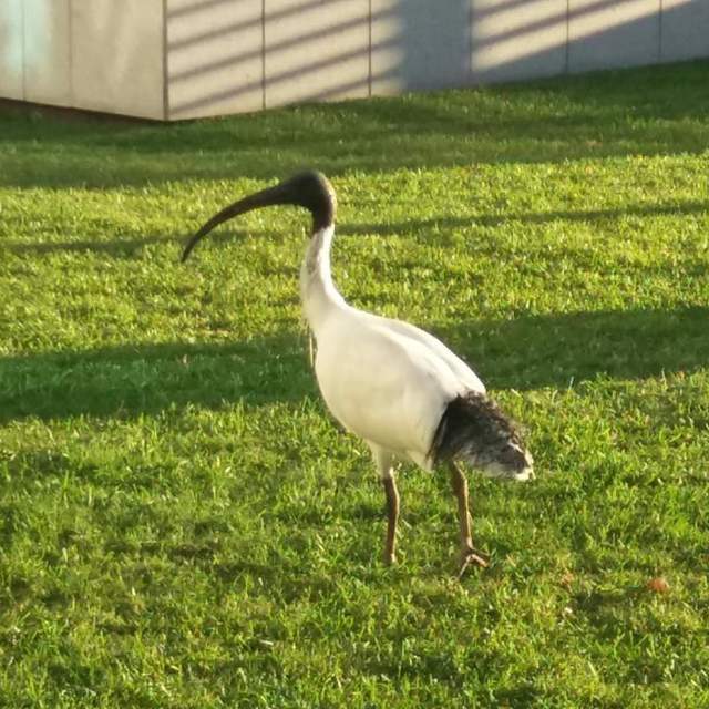East Coast Australia July 2018