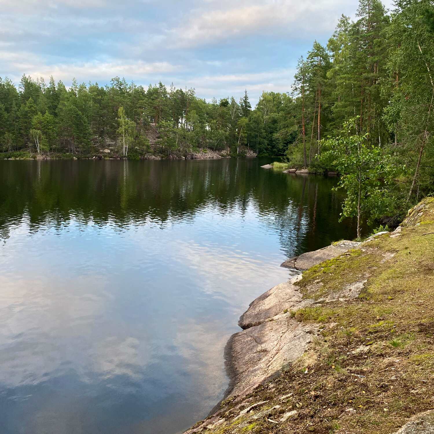 Schweden🇸🇪🍄