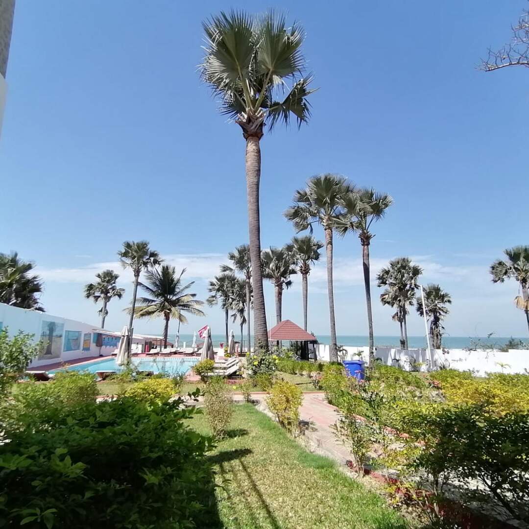 Palm Tree Place
