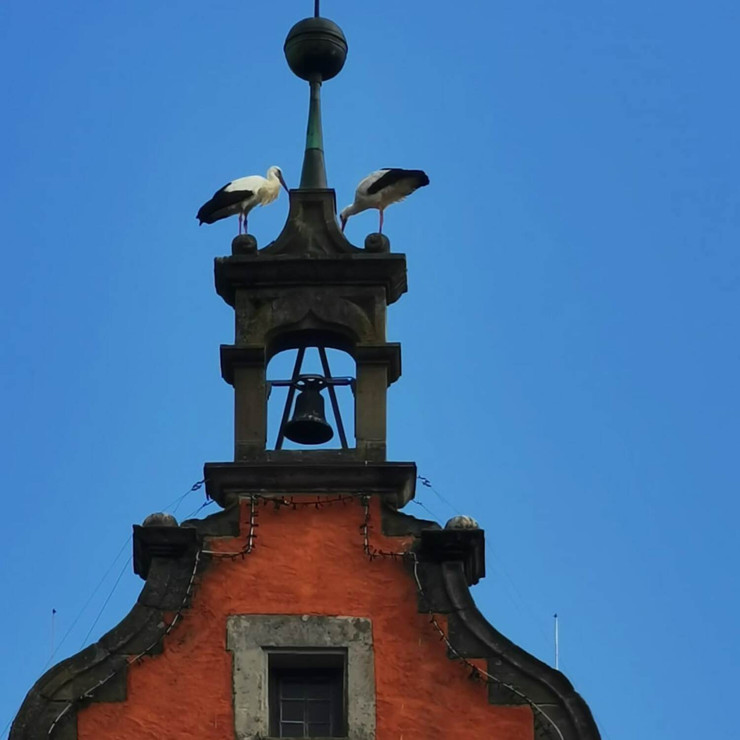 Dinkelsbühl, Ravensburg