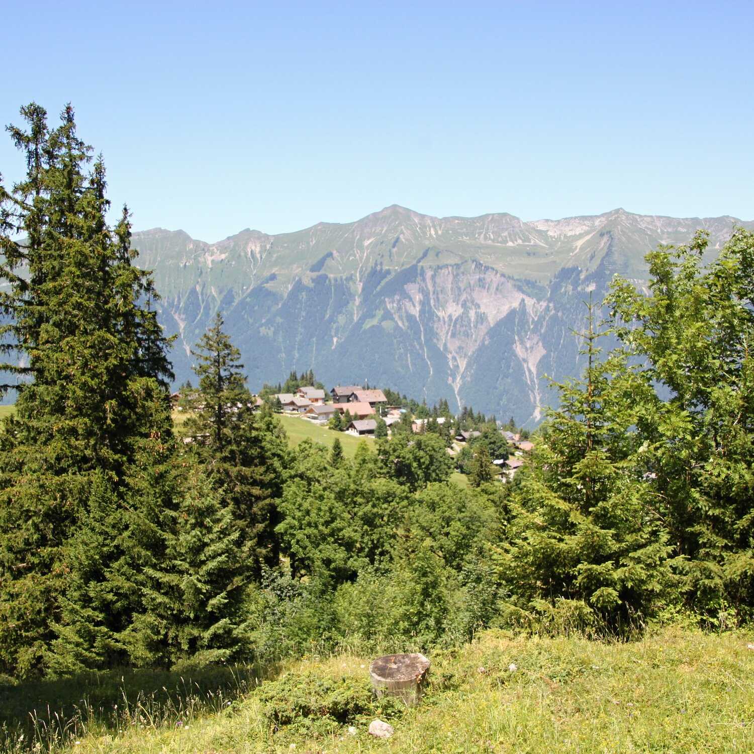 Axalp - Sommer ’24