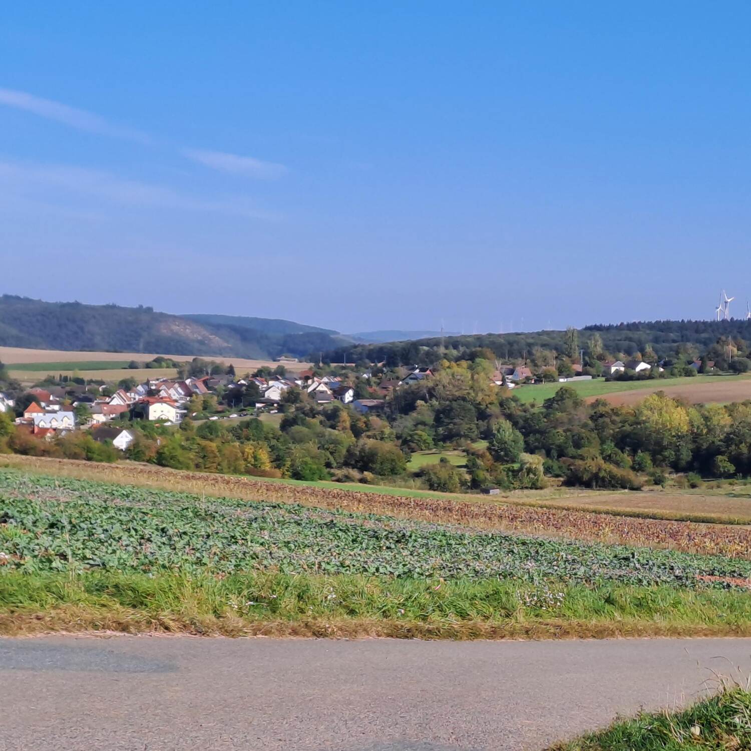Pfalz Radtour