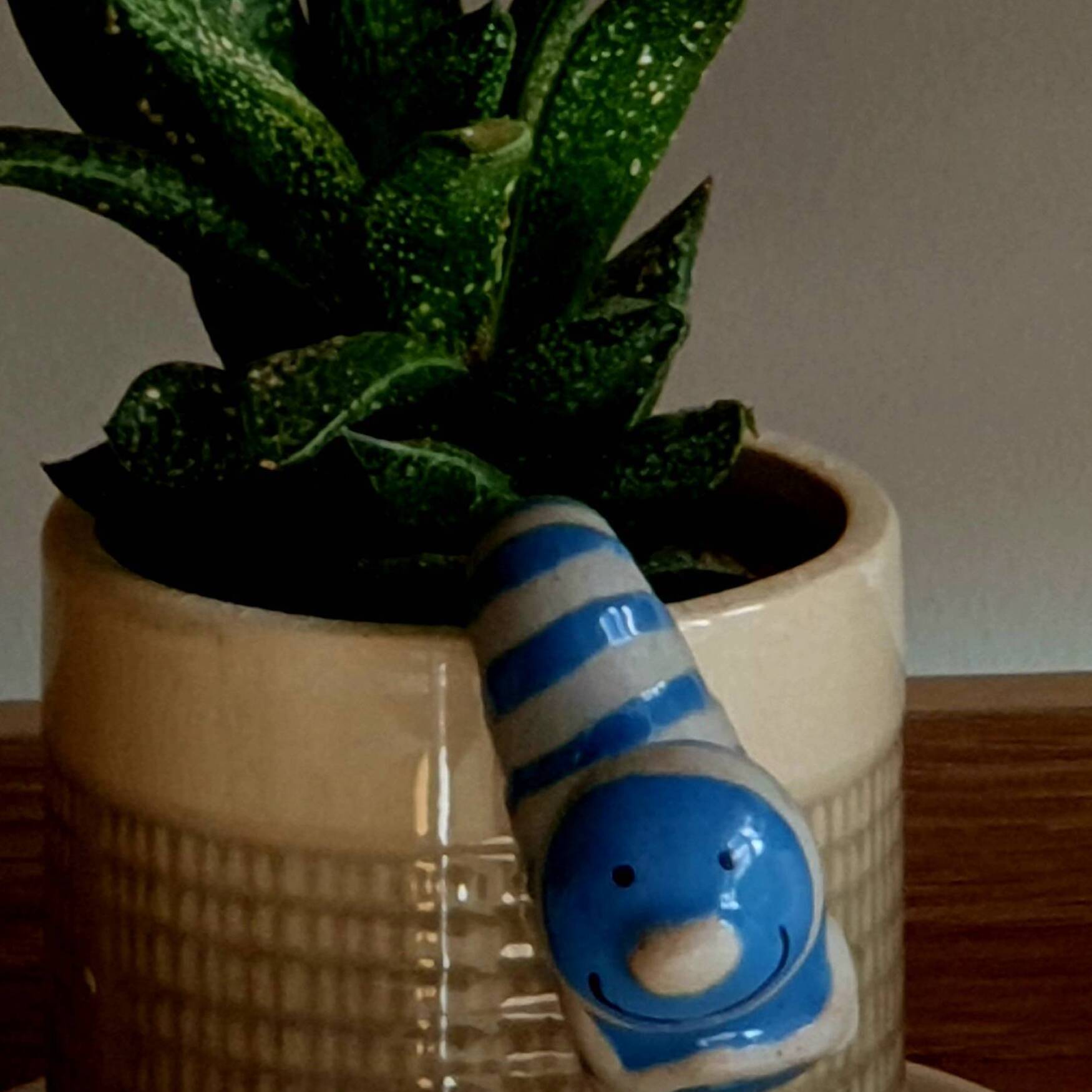 Easter on South Coast