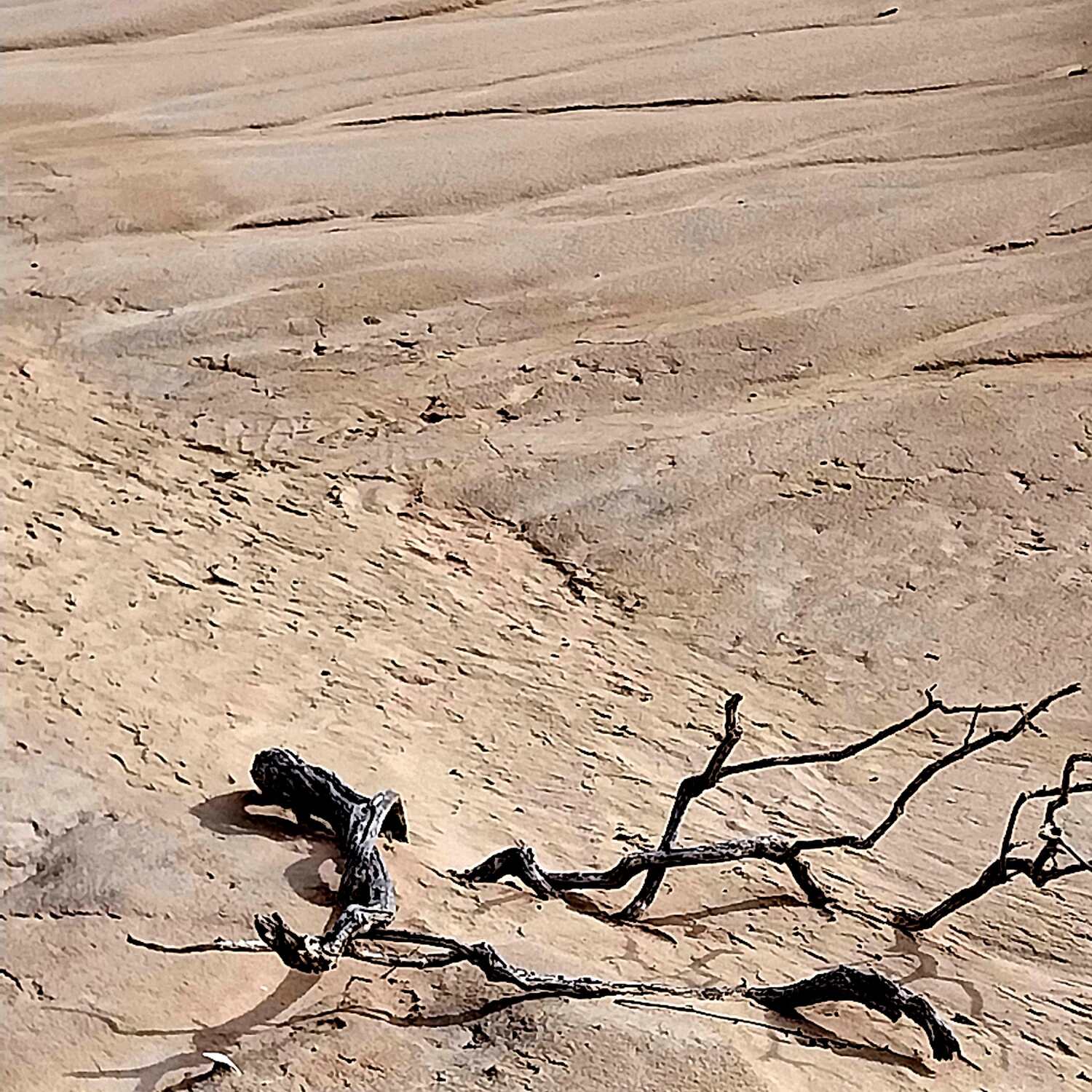 Lake Mungo & Mildura July 2024