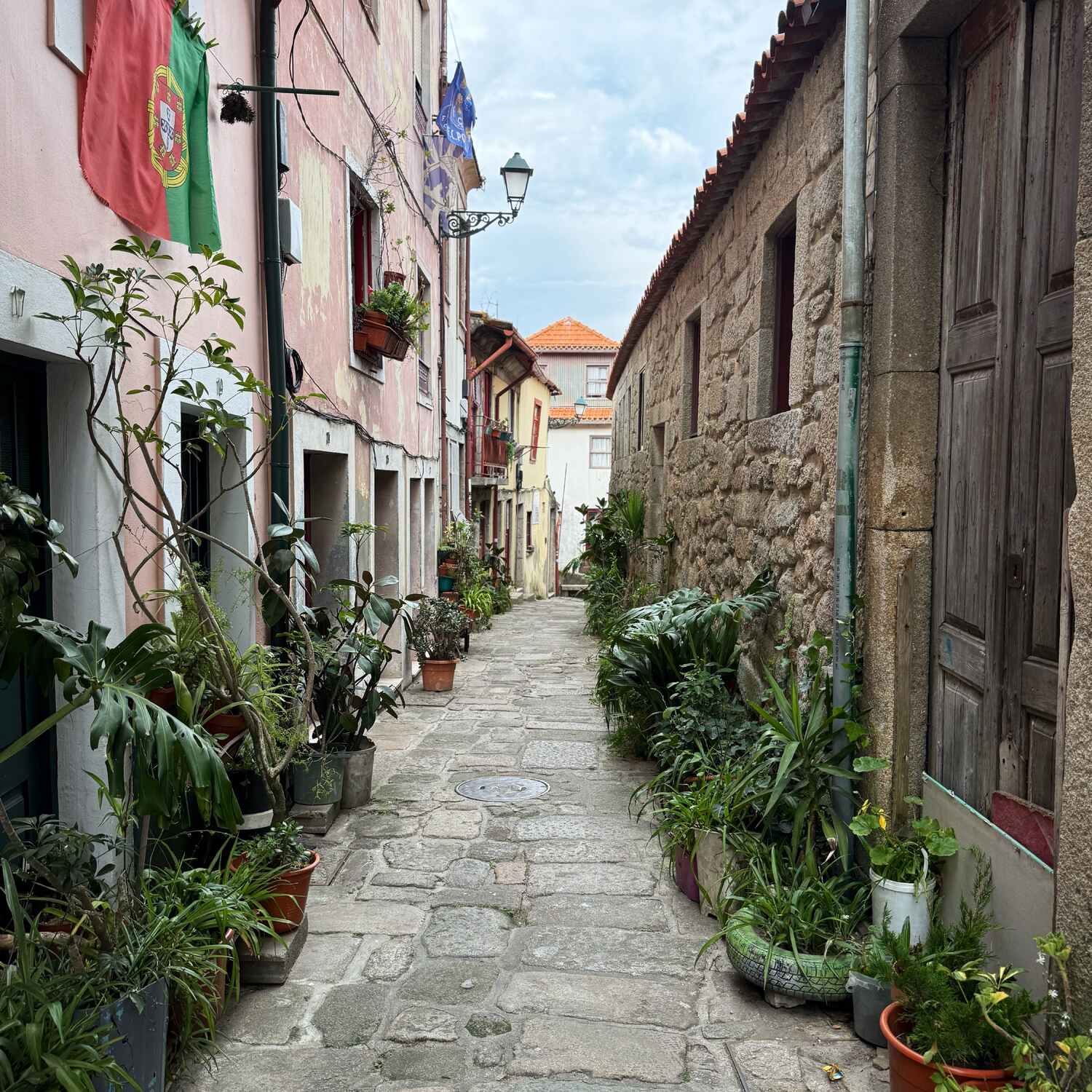 Portuguese Camino 2025