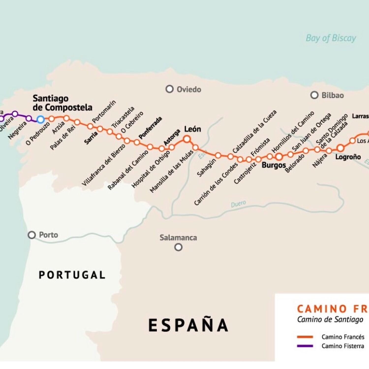 Camino Francés 2026