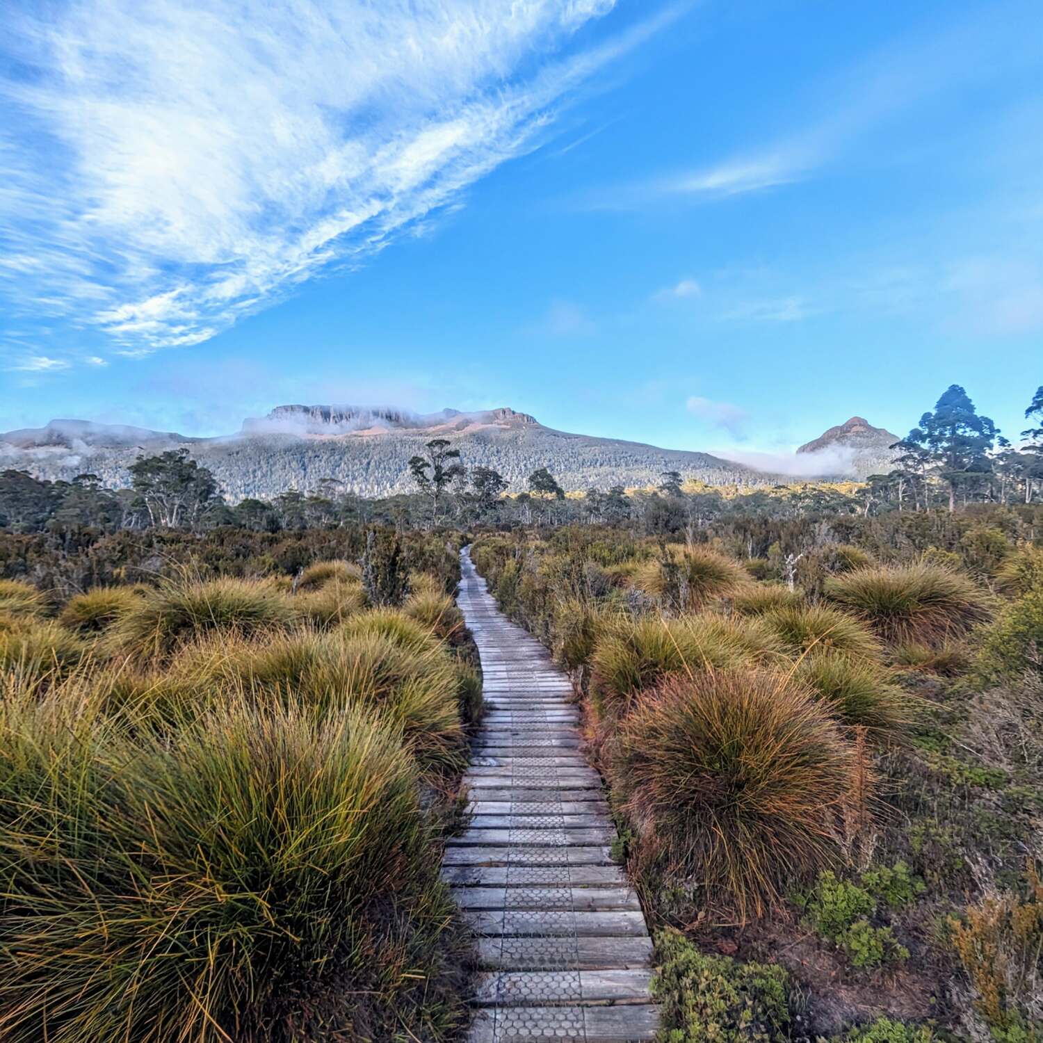 Overland Track 2024