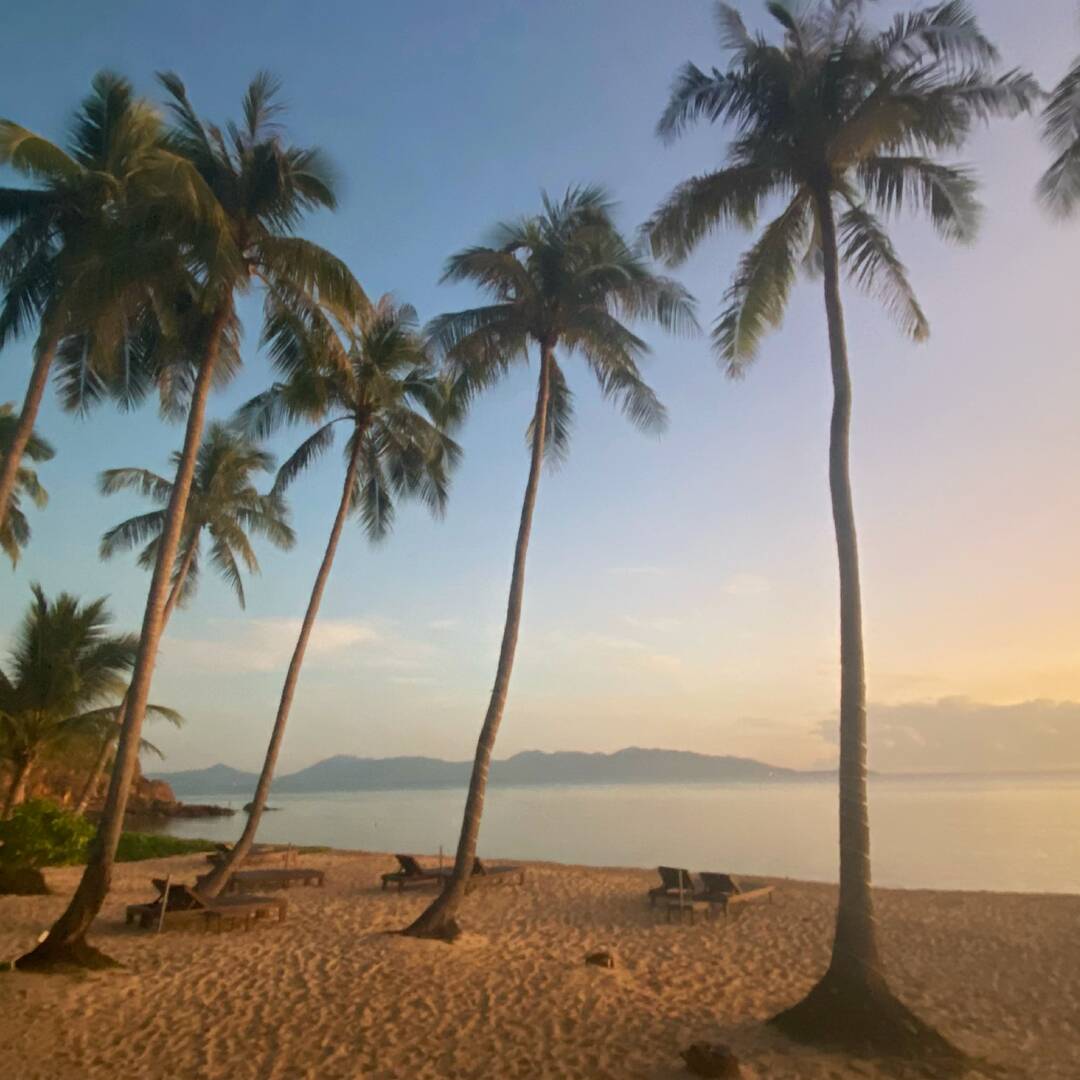 Ab nach Thailand