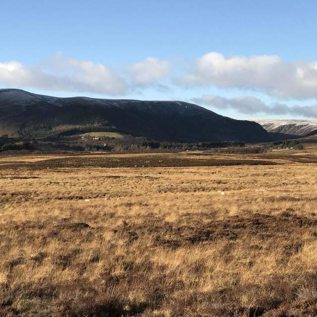 Bonny Scotland 2017