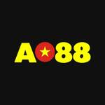 AO 88