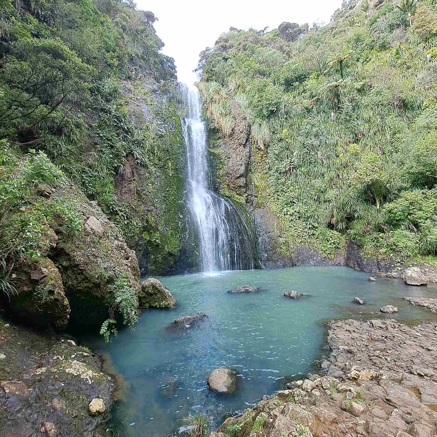 New-Zealand