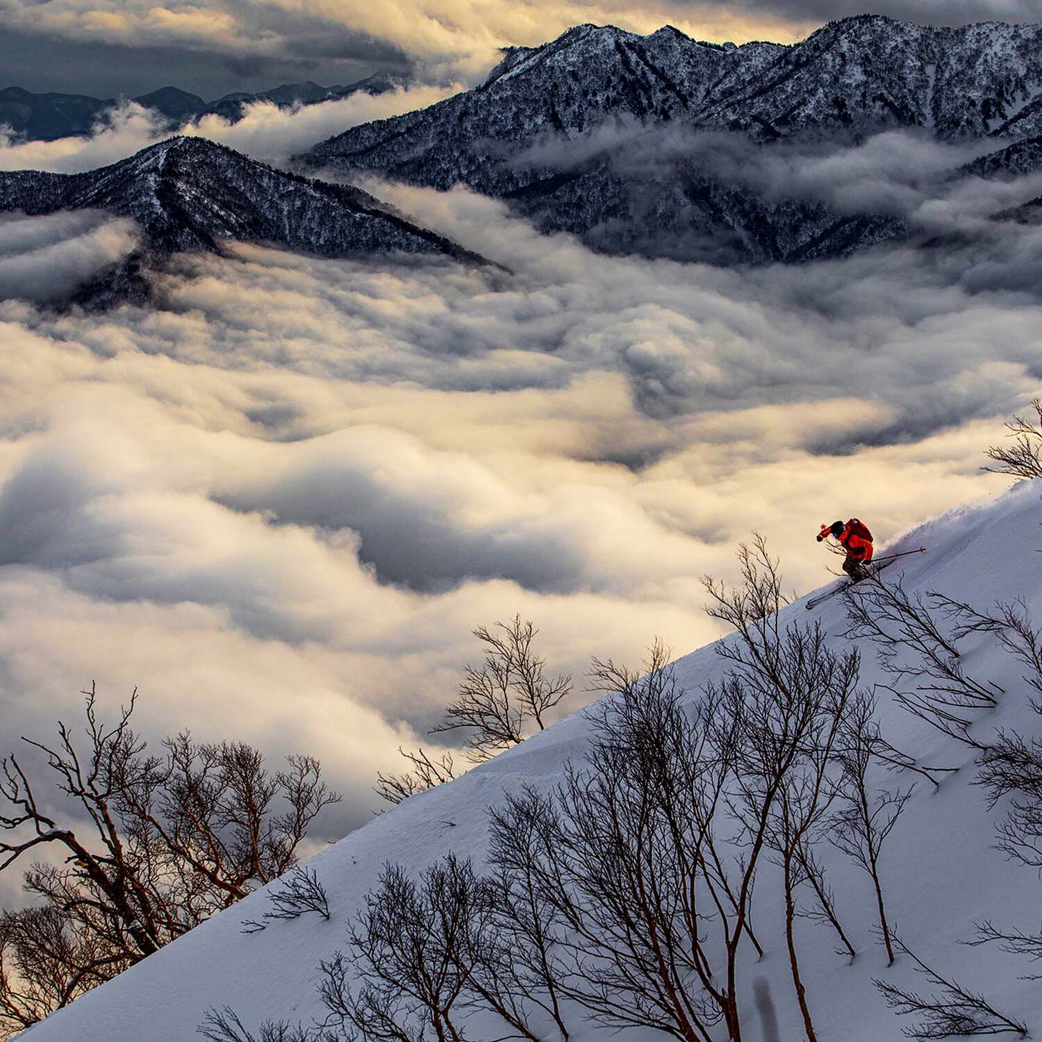Japow
