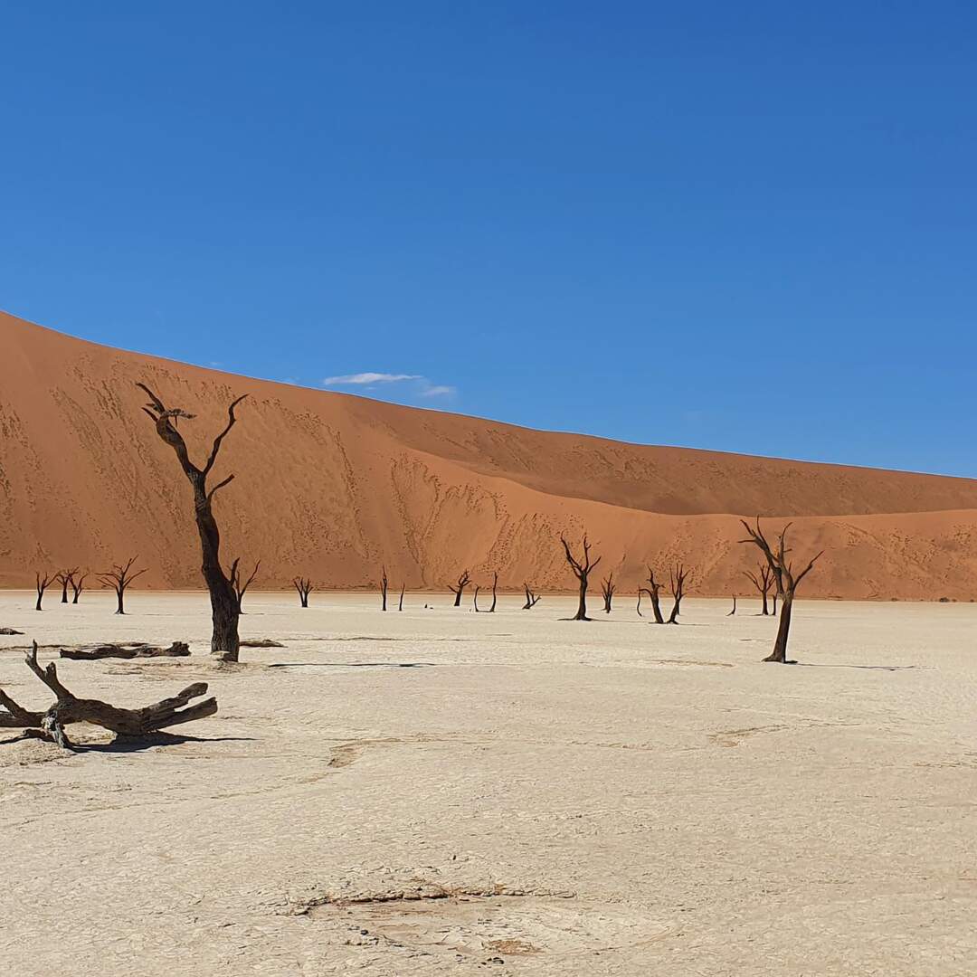 Namibia 2022