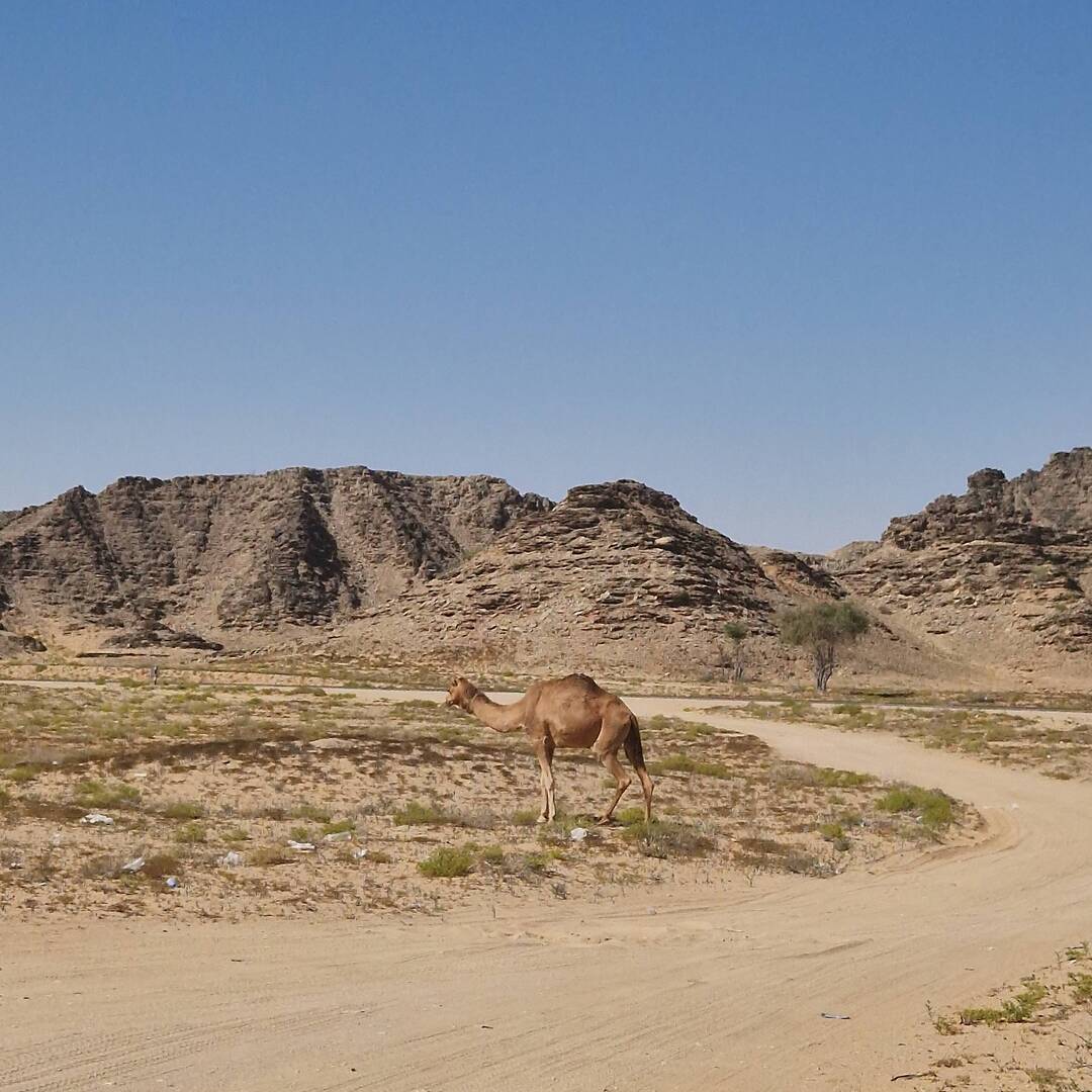 Oman Part II