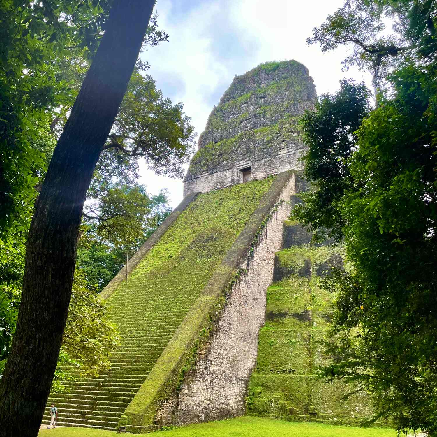 Naturetrek Feb’25