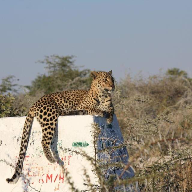 Südliches Afrika