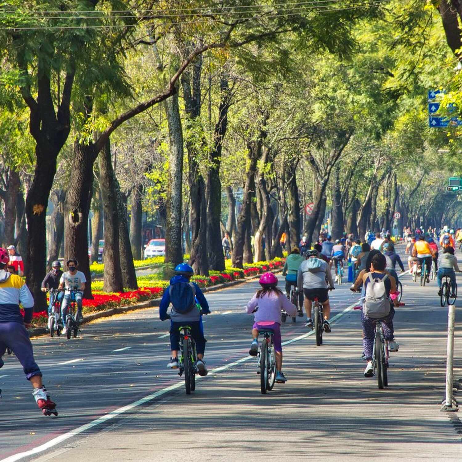 Mexico City, DC, & Family 2024