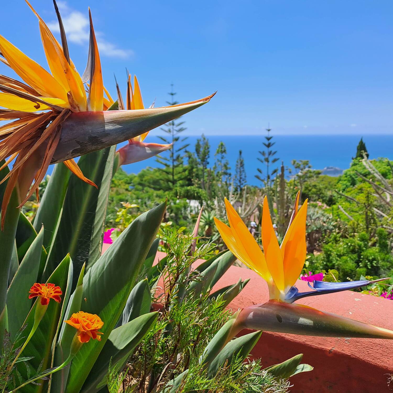 Wunderschönes Madeira