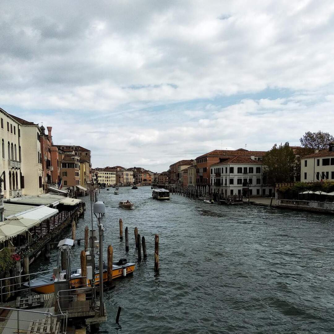 Venice and friends