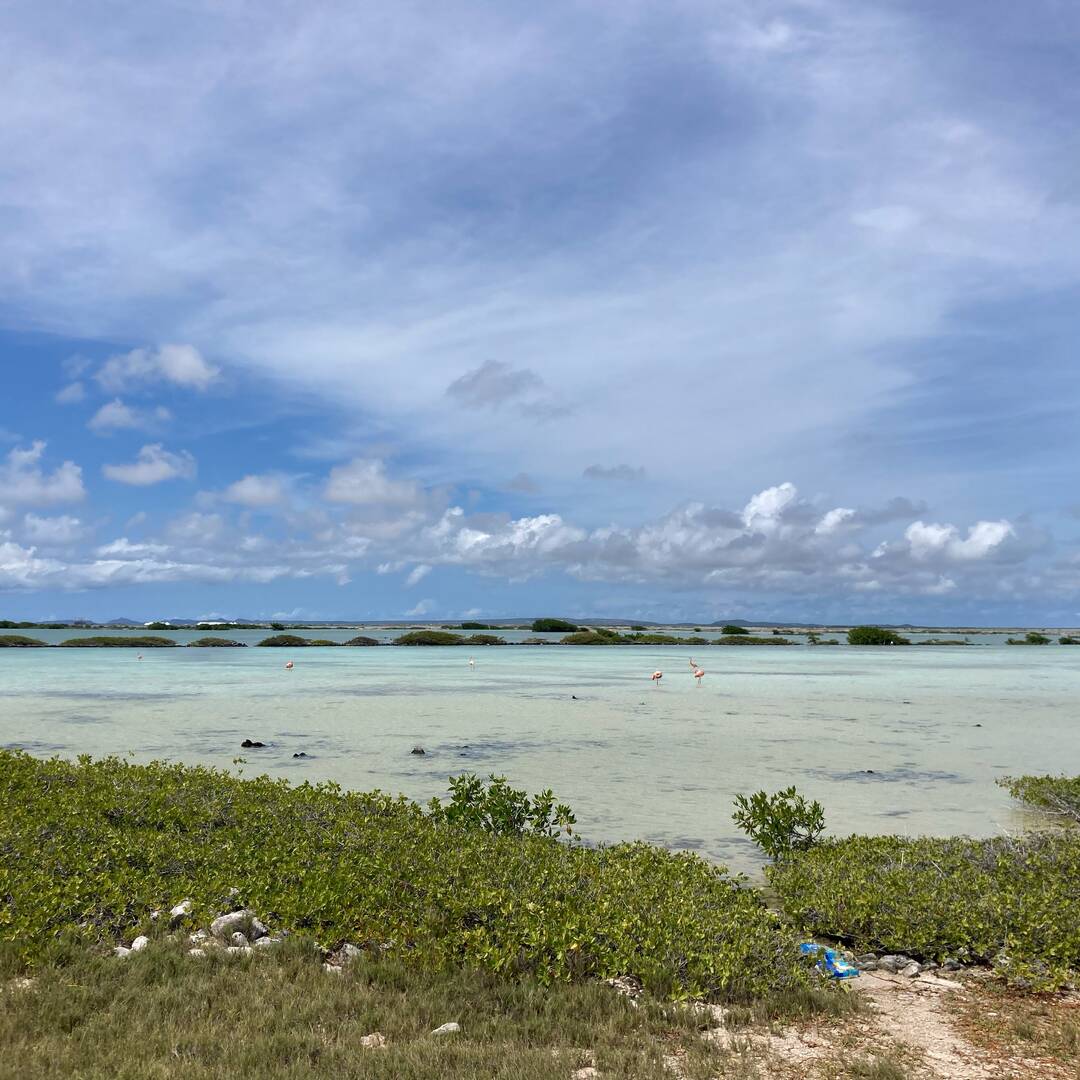 Bonaire